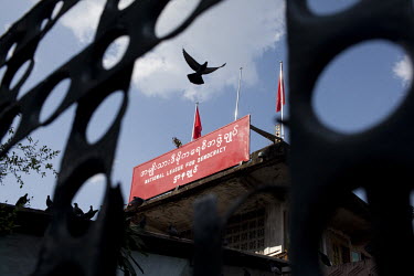 A pigeon flies over the National League of Democracy party headquarters the day after Aung San Suu Kyi was released from house arrest in Rangoon. From 1990 until her release on 13 November 2010, Aung...