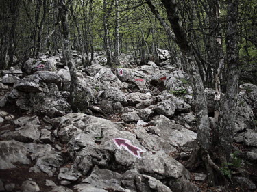 Trees and rocks in the Ai-Petri mountains. The path to the top of the mountain is marked for tourists.