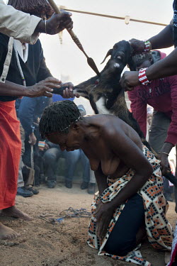 67 year old Alina during her initiation to become a sangoma. The ritual sacrifice of a goat is performed. The spilling of the animals blood is meant to seal the bond between the ancestors and the sang...