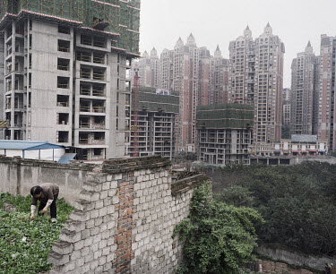 A woman picks vegetables surrounded by buildings in Chongqing.