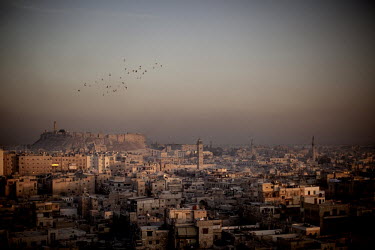 A view over Aleppo's old town with the Citadel in the distance.