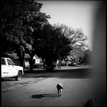 Stray dogs are common in Joppa, Texas.
