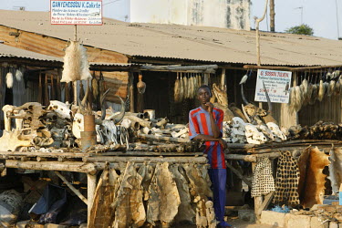 A man stands next to animal skulls and skins at Akodessewa voodoo fetish market.