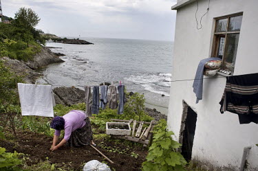 A woman plants seedlings in a small vegetable garden next to the Black Sea.