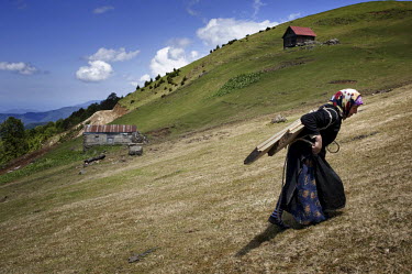 A Laz woman strains under the weight of wooden planks that she is carrying over a hill to be used to build a house. The Laz are a Caucasian ethnic group living on the Black Sea coastal regions of Turk...