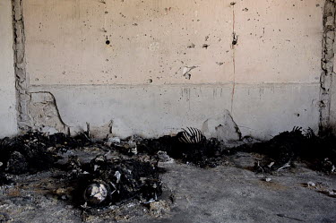 Dozens of burned corpses in a hangar in Tripoli. At least 50 people where found dead in a complex neighbouring the headquarters of the Khamis brigade in Tripoli. According to two survivors, the people...