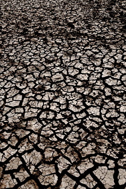 A water hole reduced to cracked earth as a result of drought.