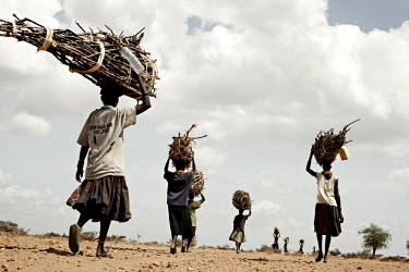 Women carrying loads of brushwood collected in the bush. They spend many hours to collect the wood which she will then sell at a market that is also several hours walk away.