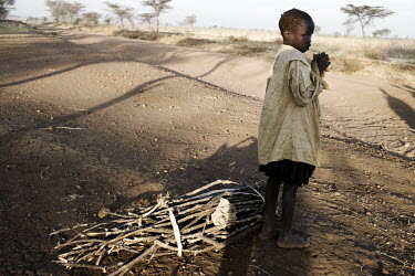 A young girl collects firewood from the bush. She spends many hours to collect the wood which she will then sell at a market that is also several hours walk away.