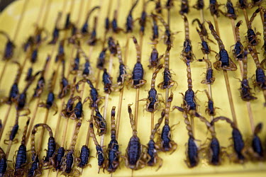 Scorpion snacks on a stick, for sale in a central Beijing market.