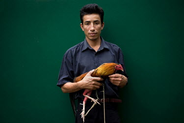 A man stands with his rooster before it fights.