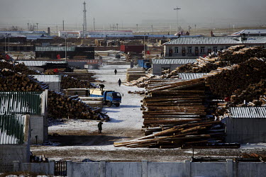 Russian sourced timber stacked at a prcoessing plant in Manzhouli, a boomtown built on the cross boeder timber trade. The legal and illegal trade in timber is devastating the Siberian Tiaga forest wit...