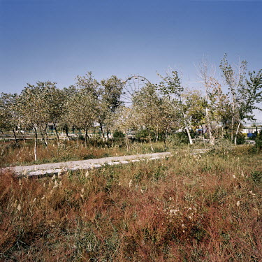 Trees grow in the central square in Nukus.