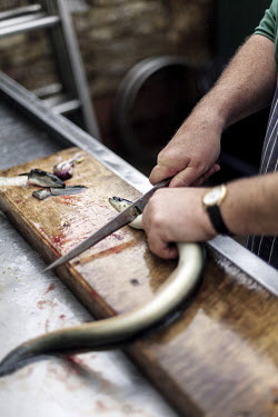 Joe Cooke killing and gutting eels in the yard of Cookes' Eel, Pie and Mash shop in Hoxton, London, UK