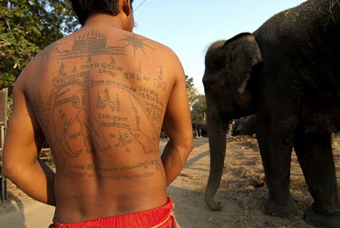 A mahout displays his special Sak Yan or Sacred Tattoo that refelects his vocation.