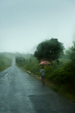 A woman walks along a road, protected from the rain by an umbrella.