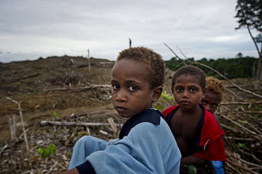 Mooi children in front of what used to be the forest that supported his community. The Mooi are one of the indigenous people who live off the forests of West Papua. Their ancestral lands are being dev...