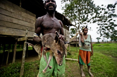 A Mooi hunter holds a small deer caught in the forest. The Mooi are indigenous people who live off the forests of West Papua. Their ancestral lands are being devastated by logging and encroached on by...