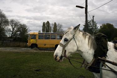A bus travels past a horse.