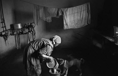 A woman pours water into a bucket in her home in a village on the coast of the White Sea in the far North of Russia. This area is inhabited by the Pomor (or Pomory - meaning 'maritime'), Russian settl...
