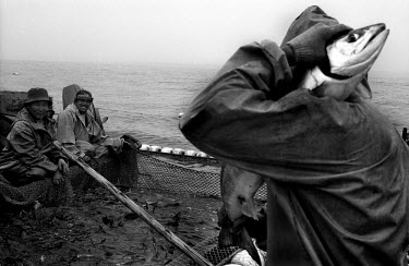 Fishermen work with their catch in the Gulf of Patience off the island of Sakhalin in Far Eastern Russia.