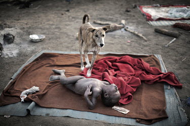 In the early morning a dog watches over a child sleeping on a blanket in Doro refugee camp. With so many people arriving at the camp the newly arrived don't get immediate access to tents or even tarpa...