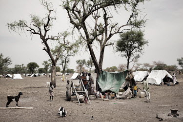 A group of refugees and their goats stand around a makeshift tarpaulin shelter in Jammam camp. The few trees in the camp provide almost no shelter from the searing heat of the sun. More than 500,000 p...