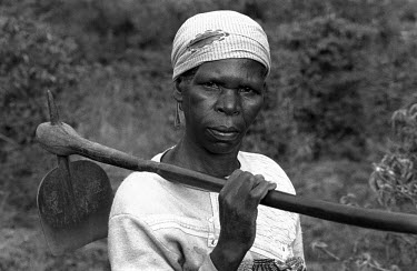 A woman carries a hoe (mattock) to weed her coffee plants.
