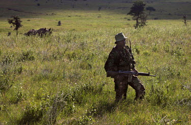 Philiph Lelelit, a Ranger on the Lewa Wildlife conservancy, patrols the Subuiga area, protecting Rhino from the ever present threat of heavily armed poachers who will often use assault rifles or poiso...