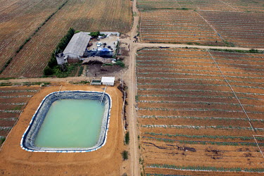 A typical farm in the Wuming area, with rows of vegetables growing and an irrigation pool.