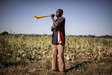 A farmer uses a vuvuzela to chase elephants from his farm.