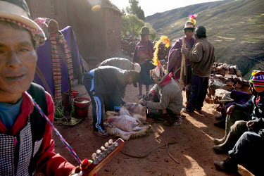 A sacrificed sheep is skinned and disembowelled in honor of Santa Cruz, or the Holy Cross, during a ceremony in the tiny community of Villa Ventilla, near Macha.   The people of Macha and surrounding...