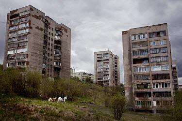 A boy with two horses rides across a green space between two crumbling Soviet era tower blocks. He takes the horses into the town centre where he offers rides to visitors.
