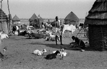 A Nuer cattle camp on the banks of the Baro River. The Nuer are traditionally cattle breeders and migrate between their villages where they live during summer to temporary cattle camps in winter. They...