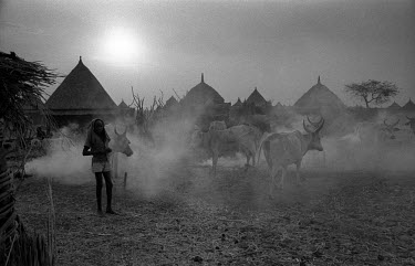 A Nuer child stands in front of cattle in a camp on the banks of the Baro River. In the evenings they burn smoky dung fires to protect the cattle from stinging flies. The Nuer are traditionally cattle...