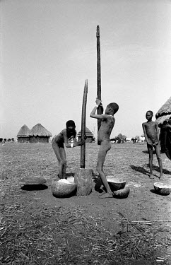 Nuer girls pounding maize in a cattle camp on the banks of the Baro River. They rub ash on their skin as protection against biting flies. The Nuer are traditionally cattle breeders and migrate, betwee...