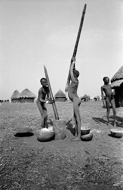 Nuer girls pounding maize in a cattle camp on the banks of the Baro River. They rub ash on their skin as protection against biting flies. The Nuer are traditionally cattle breeders and migrate, betwee...