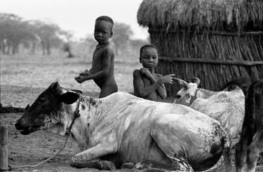 Two Nuer children with some cattle in a cattle camp on the banks of the Baro River. The Nuer are traditionally cattle breeders and migrate between their villages where they live during summer to tempo...