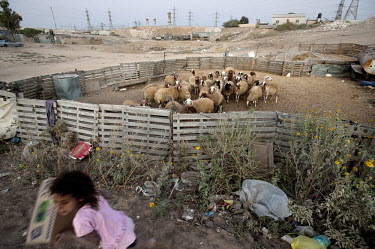 A girls plays next to a goat pen in the unrecognised Bedouin village of Wadi el Na'am which stands next to an Israel Electric Corporation's power station and the Ramat Hovav hazardous waste disposal f...