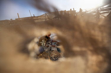 A man tends his garden in the unrecognised Bedouin village of Wadi el Na'am stands next to an Israel Electric Corporation's power station and the Ramat Hovav hazardous waste disposal facility in Israe...