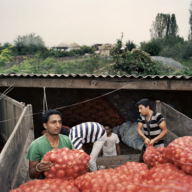 Farm workers employed by Indian farmer and landowner Ranjod Kamboj work quickly as rain approaches to unload bags of onions harvested from his land in the village of Kurtlari. Georgia has seen its agr...