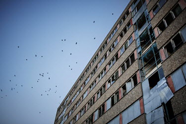 Birds fly over an old abandoned apartment buildings on Faehrstrasse on the outskirt of Eisenhuettenstadt. Founded in 1950 around a steel and given the name 'Stalinstadt' ('Stalin City') in 1953 in hon...