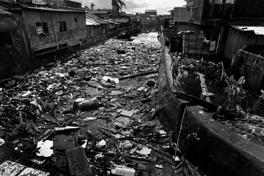 A river running through Tacloban City is clogged with debris and bloated carcases of animals washed up by Typhoon Haiyan. Typhoon Haiyan, or Typhoon Yolanda as it is known in the Philippines, was the...