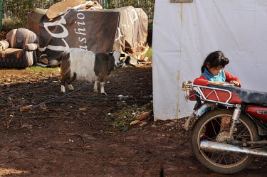 A young girls stands next to a motorcycle in front of a makeshift shelter in a refugee camp for Syrians in the Bekaa (Beqaa) Valley in Lebanon. Next to the shelter a goat is tethered to a stone. Since...