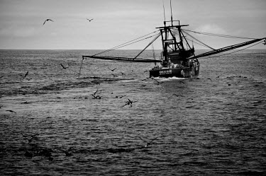 The Deesie, a commercial swordfishing trawler, sailing on a calm Atlantic Ocean. There are conflicting arguments as to the health of the North Atlantic Broadbill swordfish (Xiphias gladius) population...