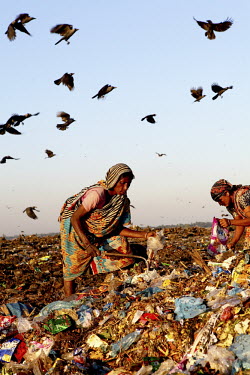 Birds fly over women look for recyclable material at the biggest rubbish dump in Dhaka. The city alone generates about 3500 to 4000 metric tons of solid waste each day.