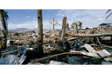 Tree stumps rise from a scene of mass devastation in Tacloban city after Typhoon Haiyan swept through the Philippines. Typhoon Haiyan, or Yolanda as it is known in the Philippines, made landfall on 8...