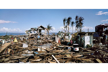 The concrete frame of a house and a stand of palm trees stand out from a scene of mass devastation in Tacloban city after Typhoon Haiyan swept through the Philippines. Typhoon Haiyan, or Yolanda as it...