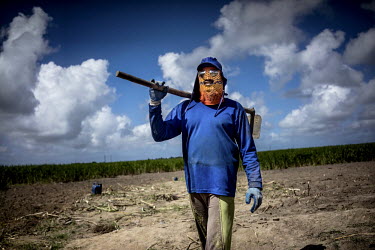 A labourer wearing a home made mask and sun glasses works to clear a sugar cane field in preparation for a new planting season along the BR-101, the longest highway in Brazil.