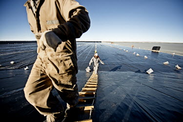 Workers at a lithium extraction facility scale a ladder as they finish a shift working on one of the extraction pools (piscinas), a km2 lithium processing pool covered in black PVC to protect them. Th...